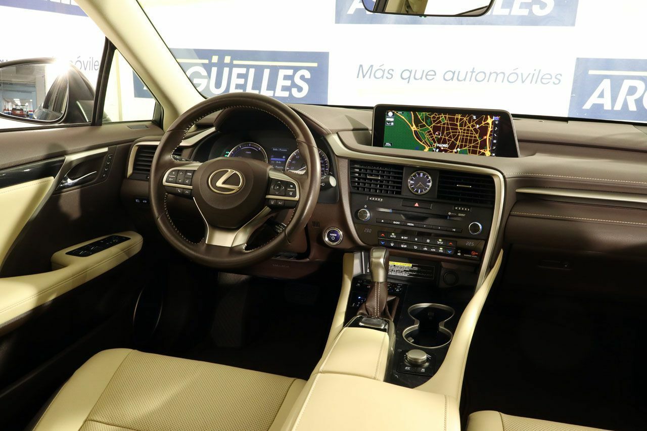 Foto Lexus RX 18