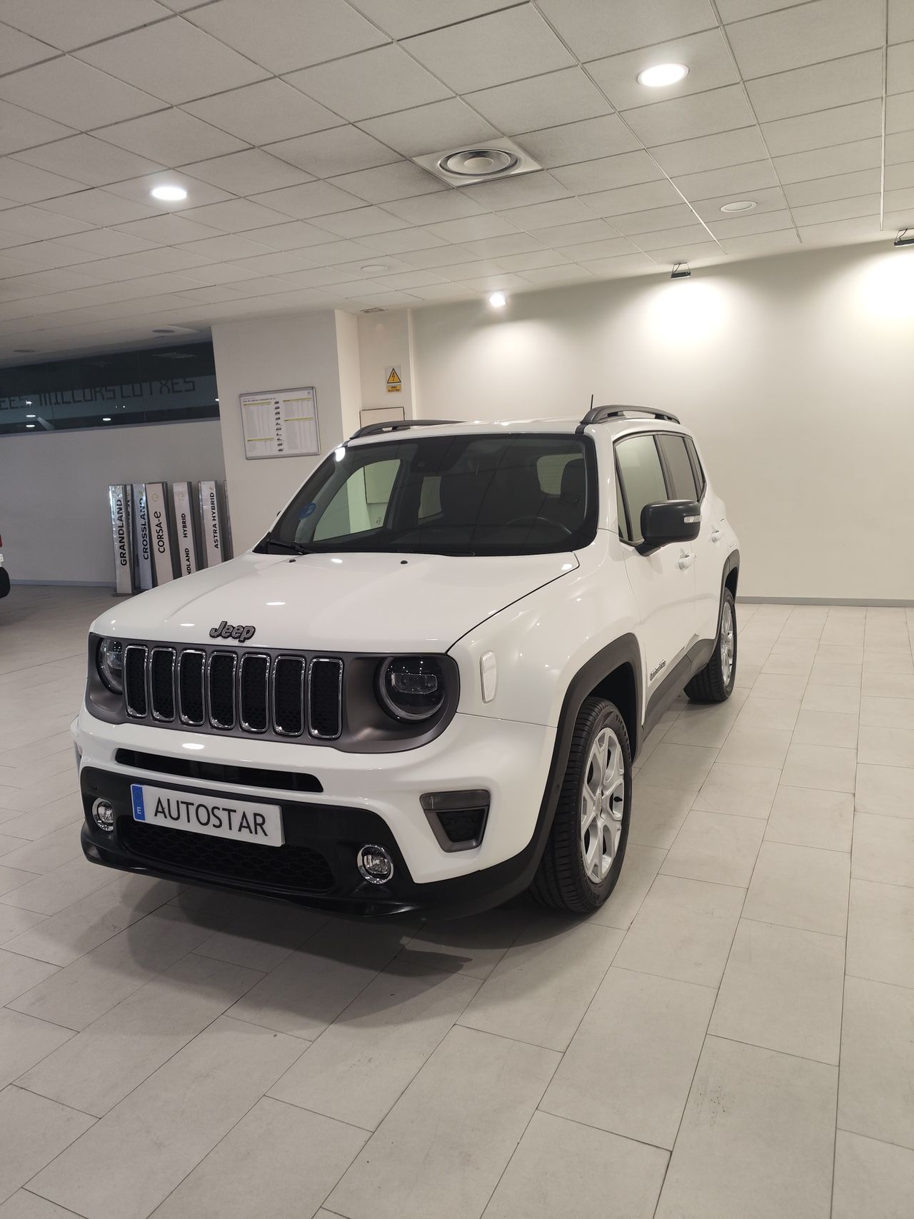 Foto Jeep Renegade 5