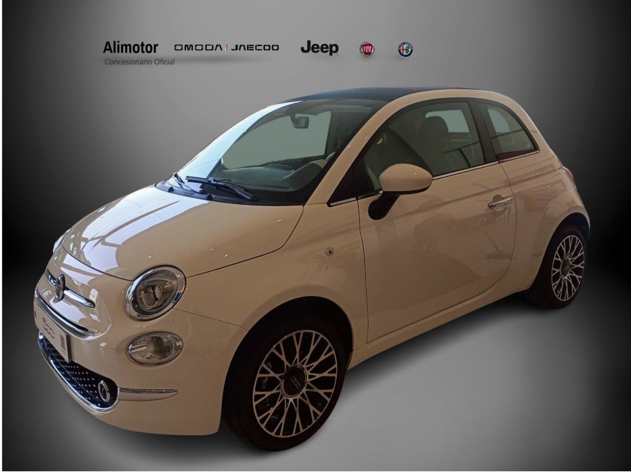 Foto Fiat 500 13