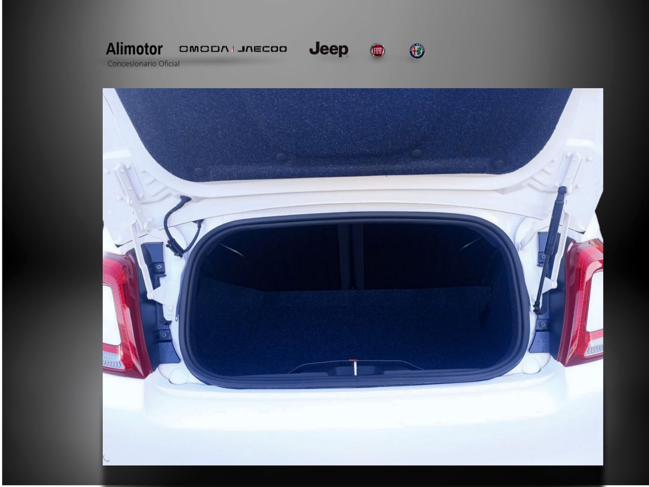 Foto Fiat 500 6