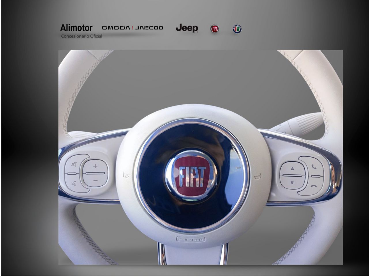 Foto Fiat 500 14