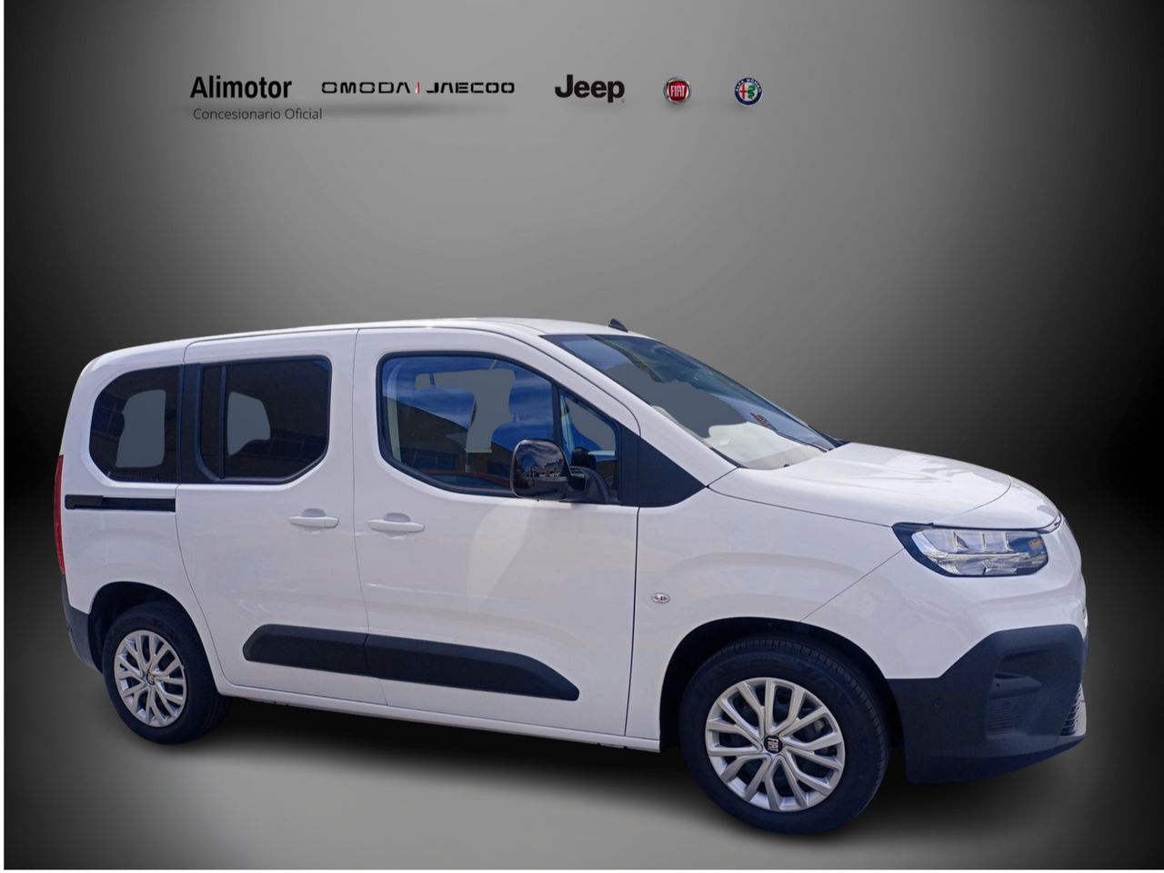 Foto Fiat Doblo 1
