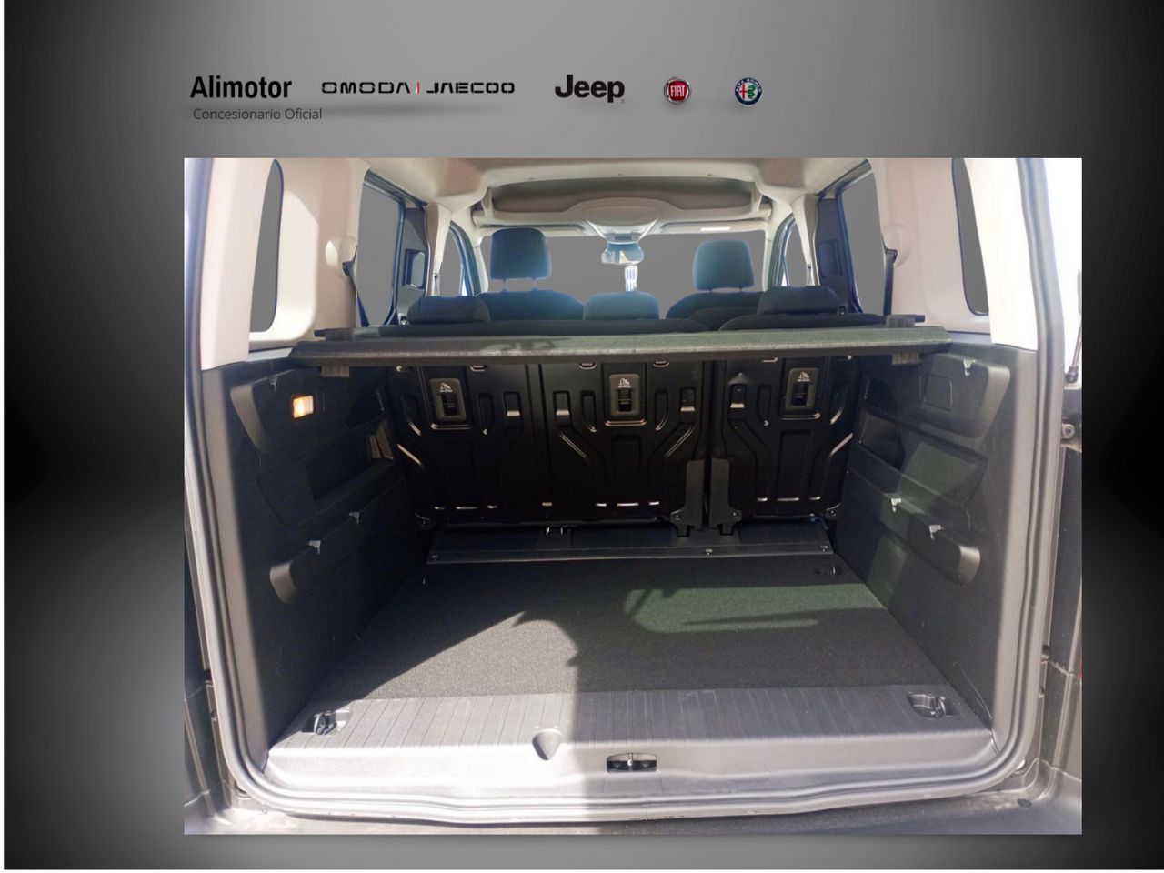 Foto Fiat Doblo 5