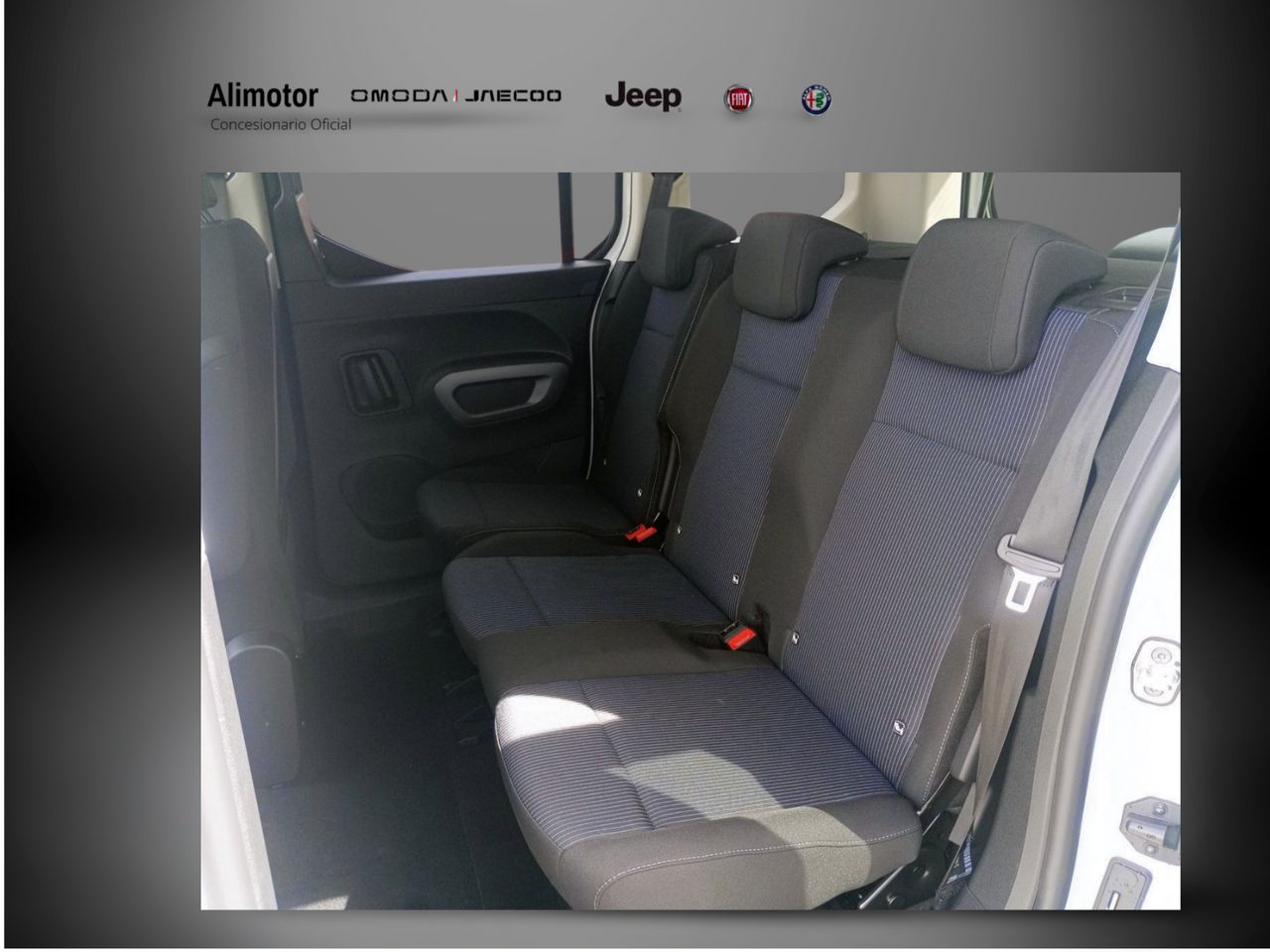 Foto Fiat Doblo 8