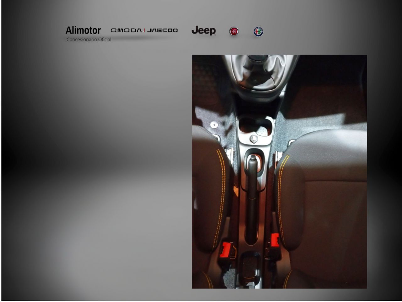 Foto Fiat Panda 15