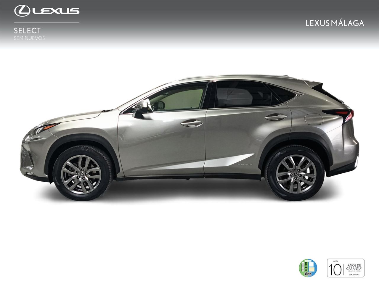 Foto Lexus NX 3
