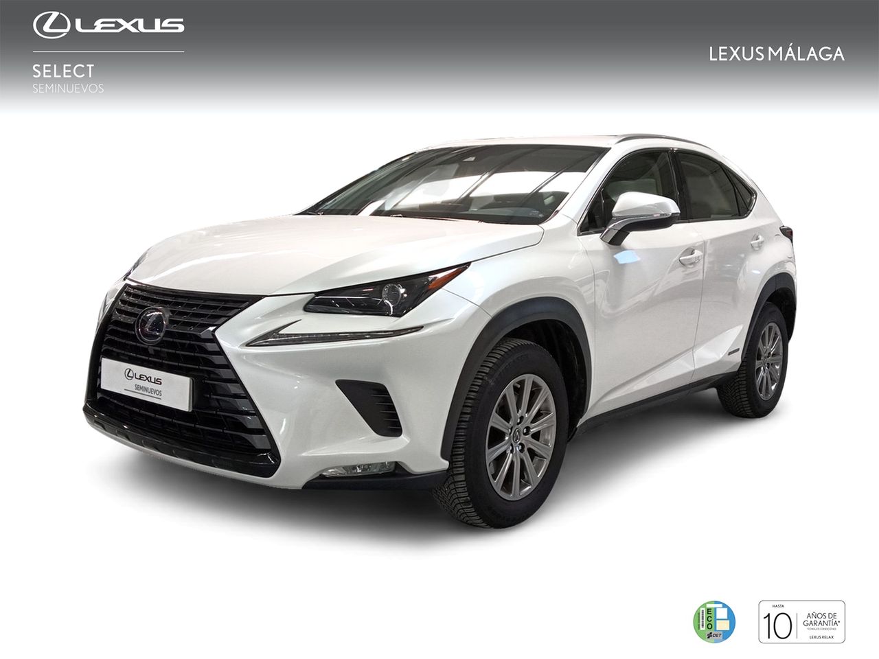 Foto Lexus NX 1
