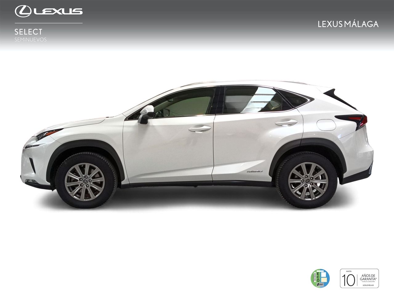 Foto Lexus NX 3