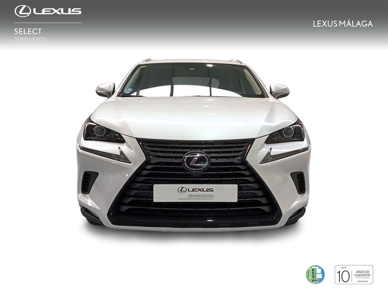 Foto Lexus NX 5