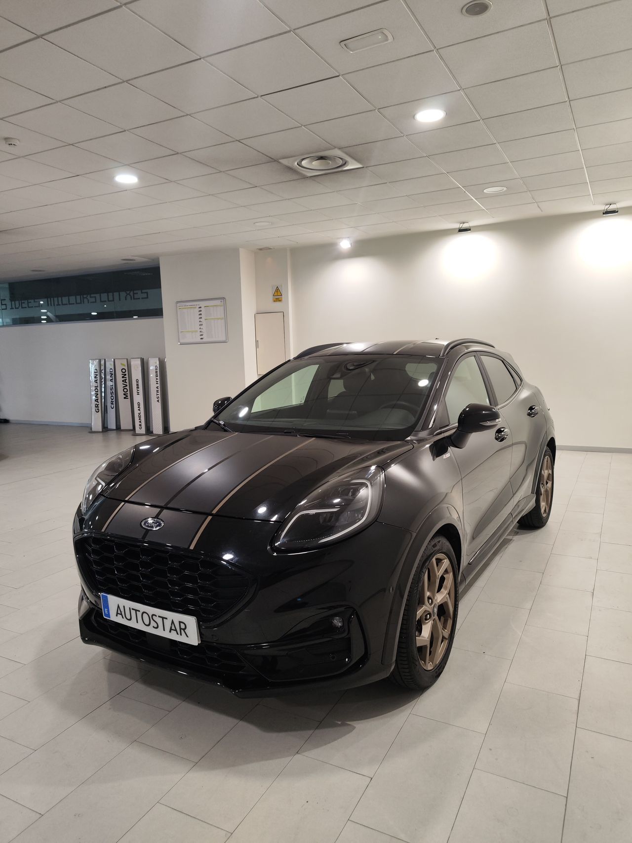 Foto Ford Puma 5