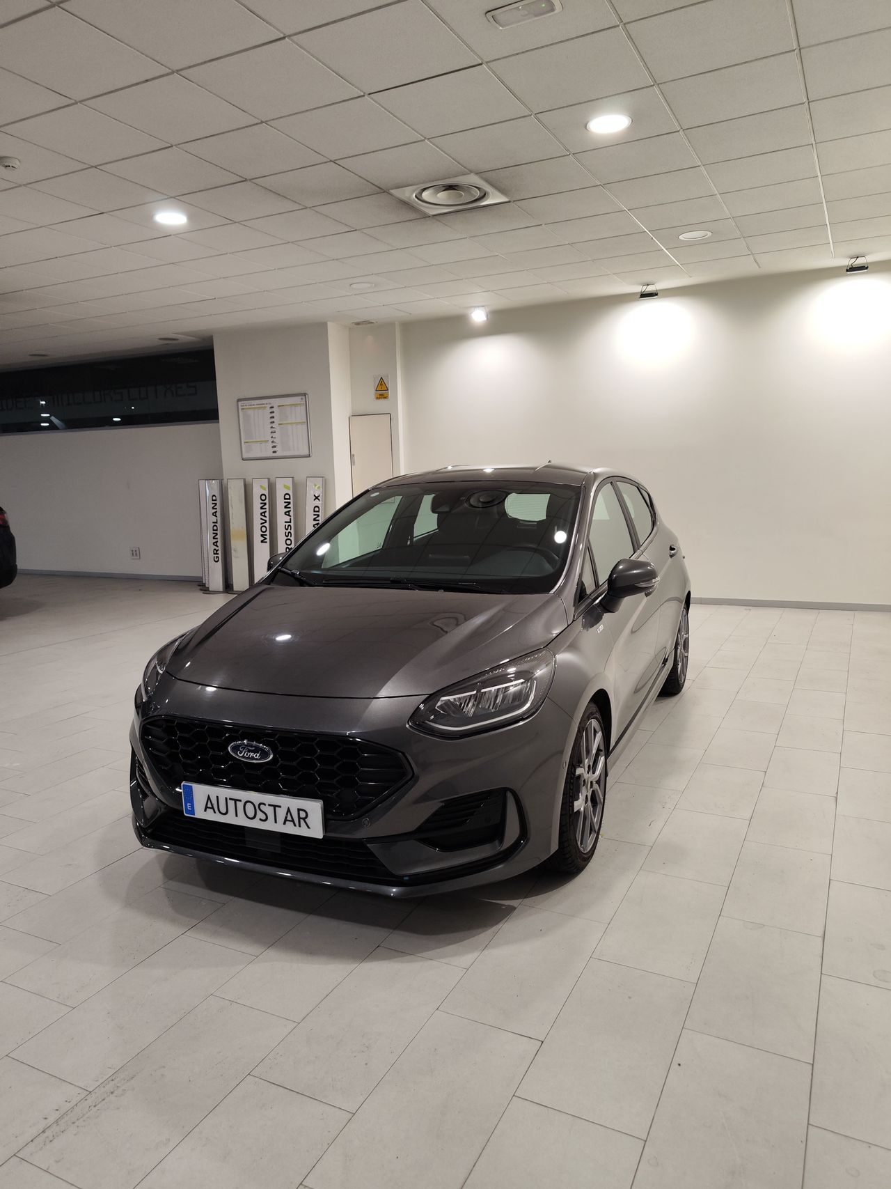 Foto Ford Fiesta 5