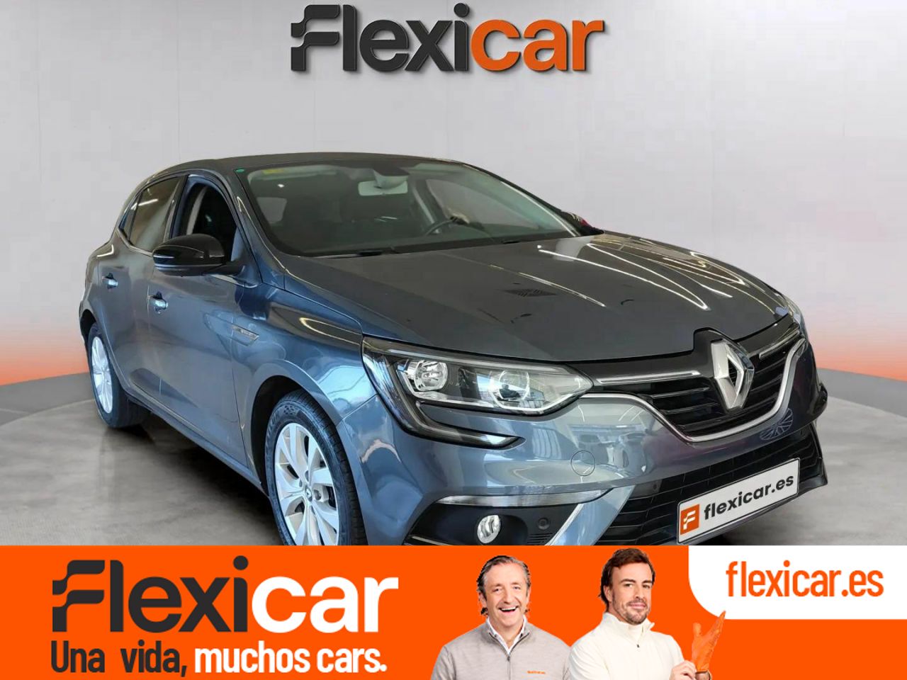 Foto Renault Mégane 1