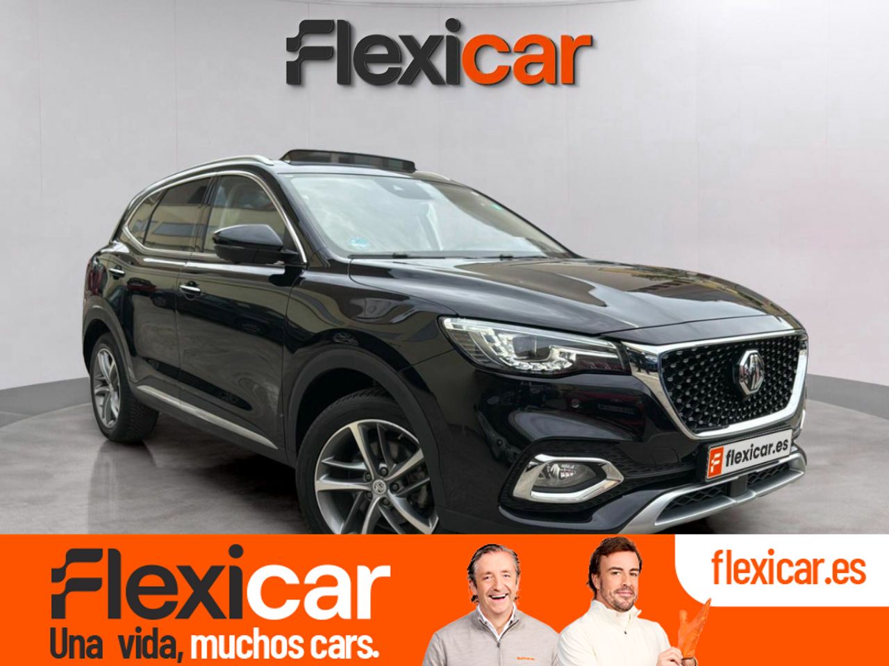 Foto MG HS 1