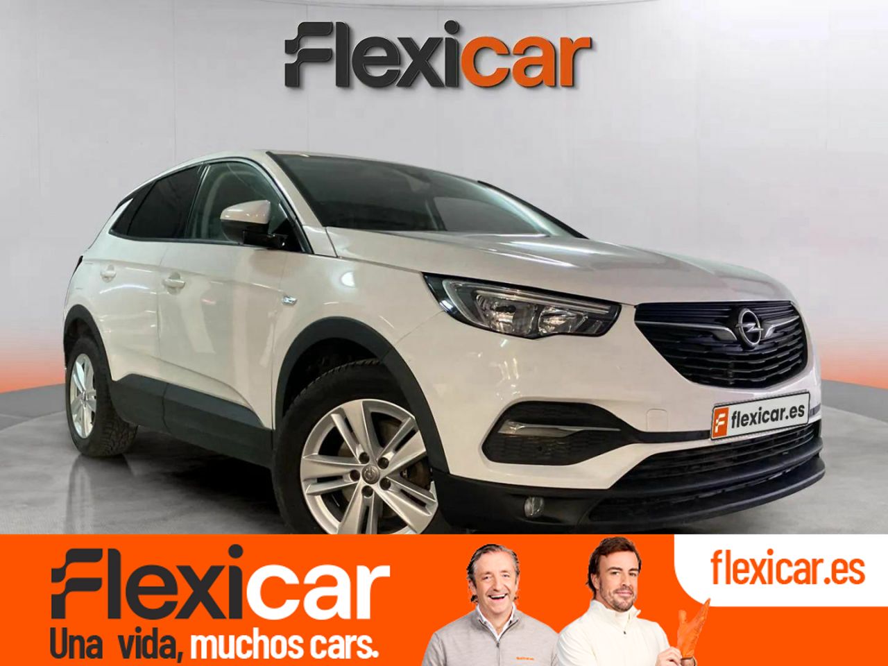 Foto Opel Grandland X 1