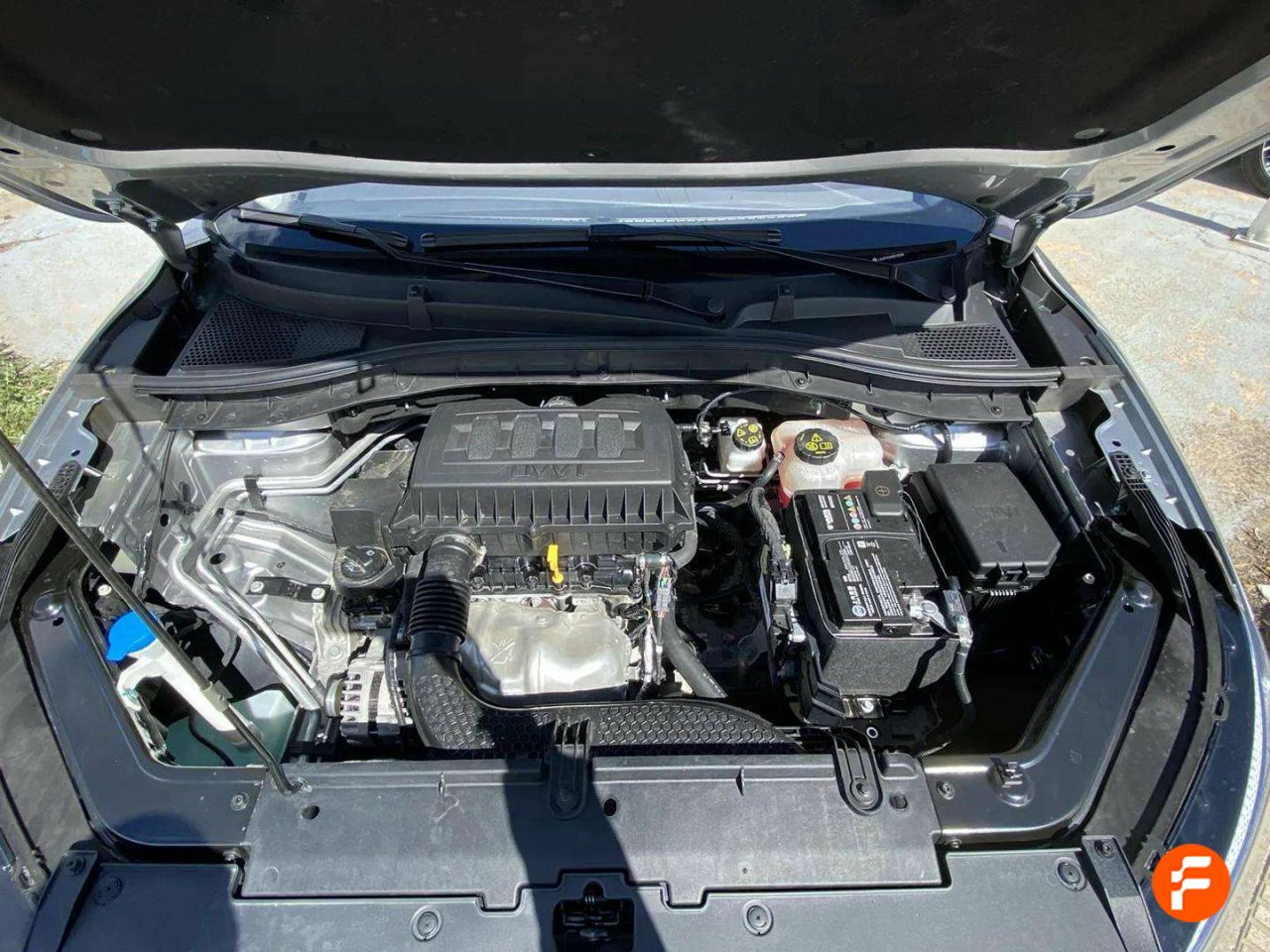 Foto MG ZS 19