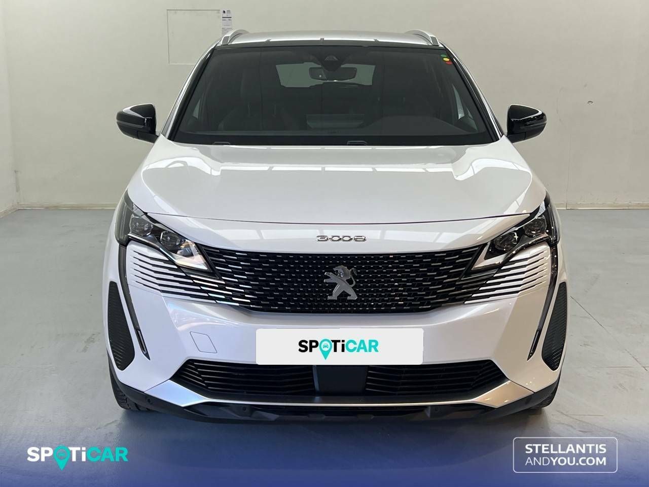 Foto Peugeot 3008 2