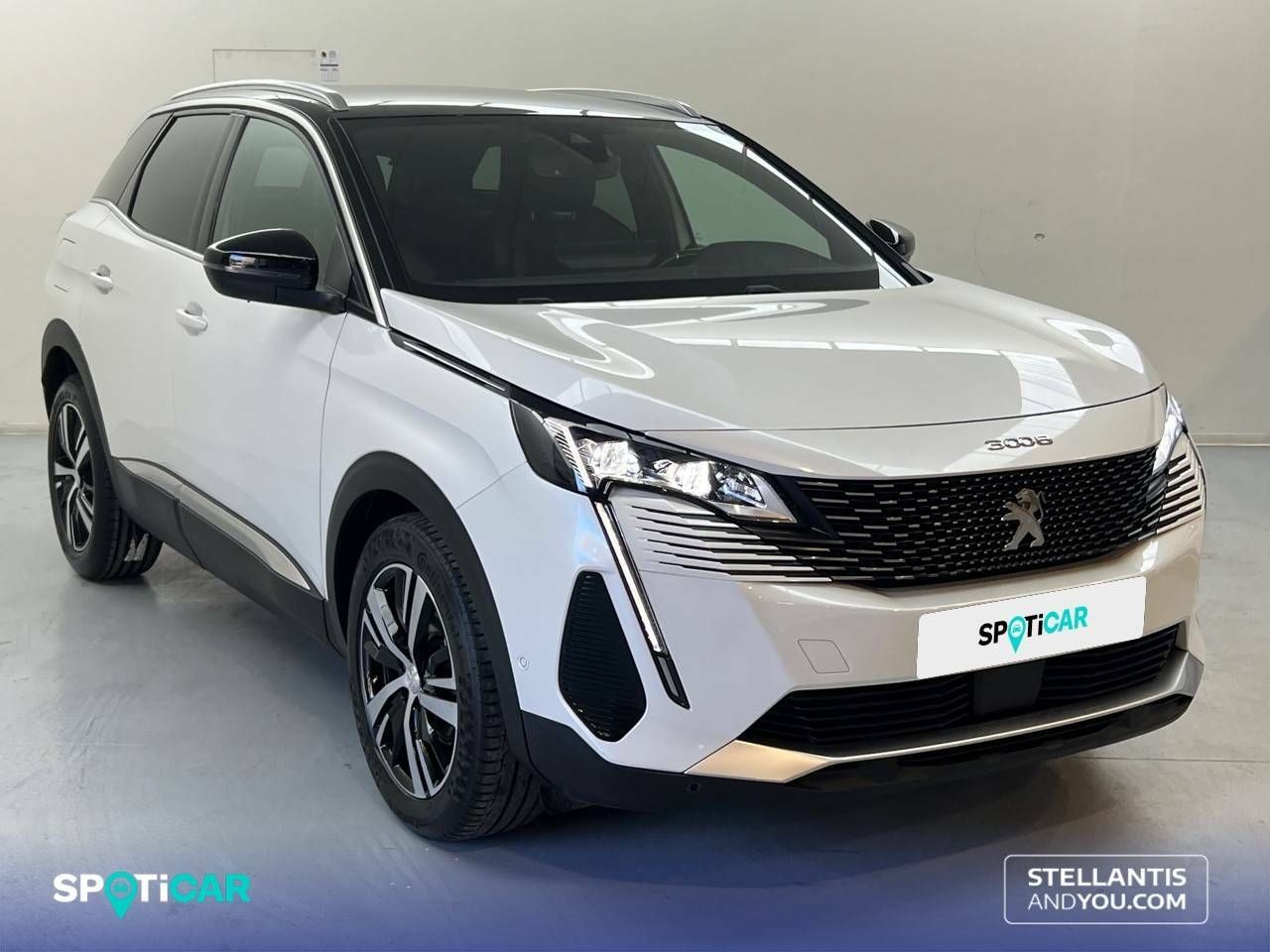 Foto Peugeot 3008 3