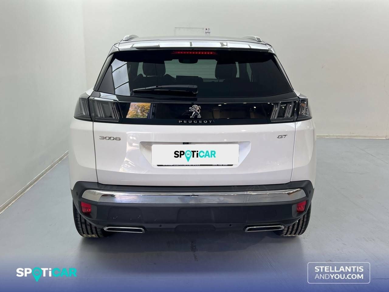 Foto Peugeot 3008 4
