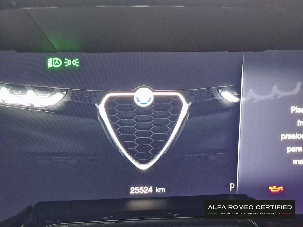 Foto Alfa Romeo Tonale 20