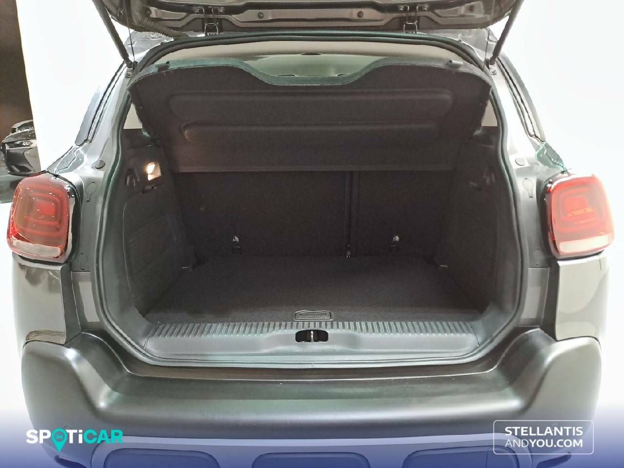 Foto Citroën C3 Aircross 6