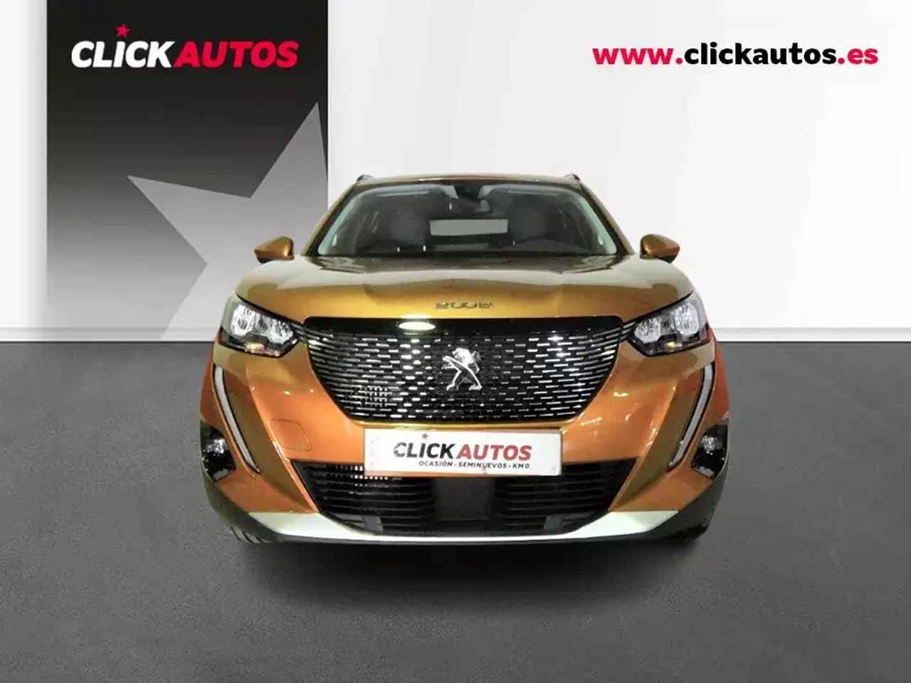 Foto Peugeot 2008 2