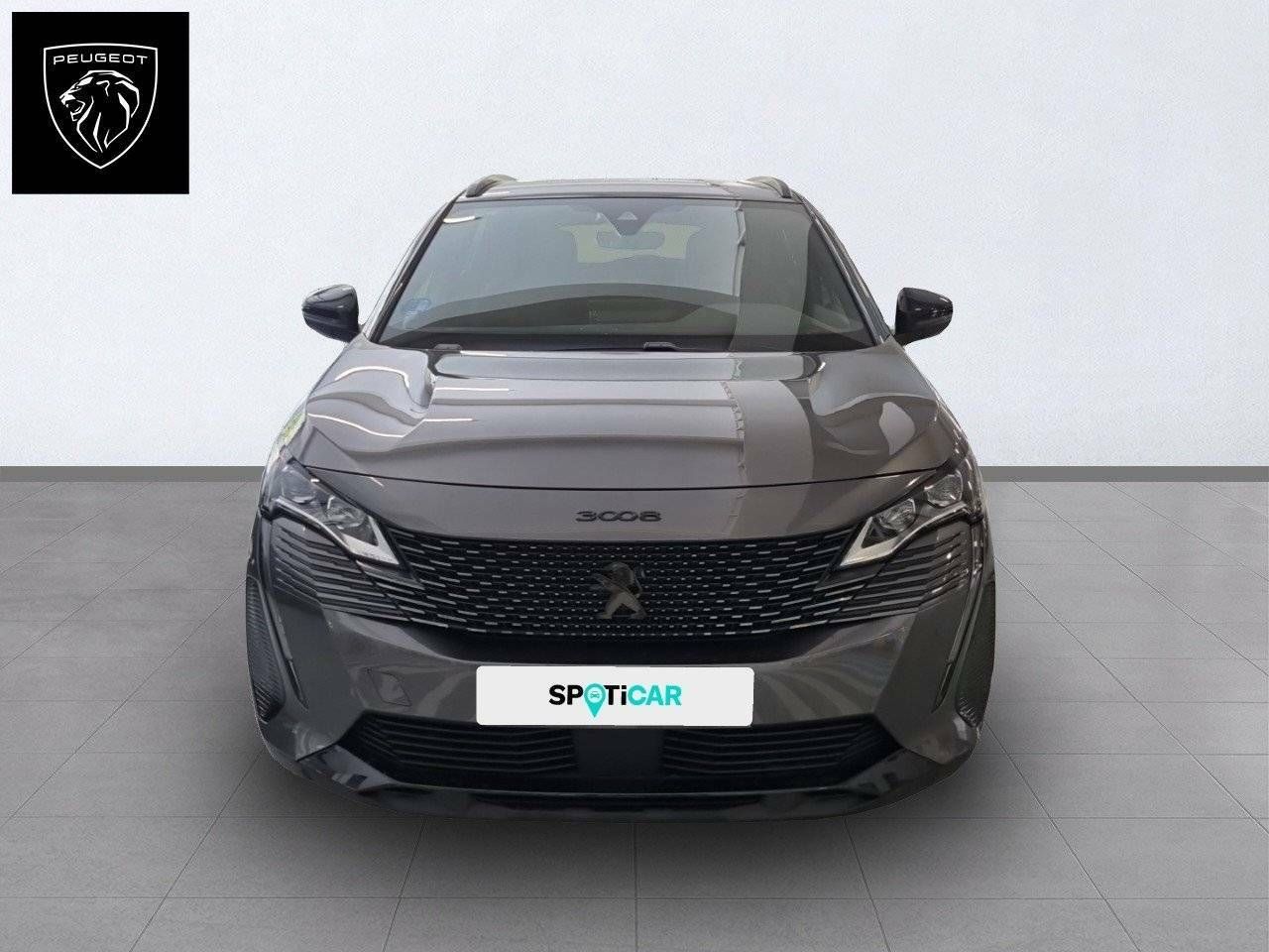 Foto Peugeot 3008 2