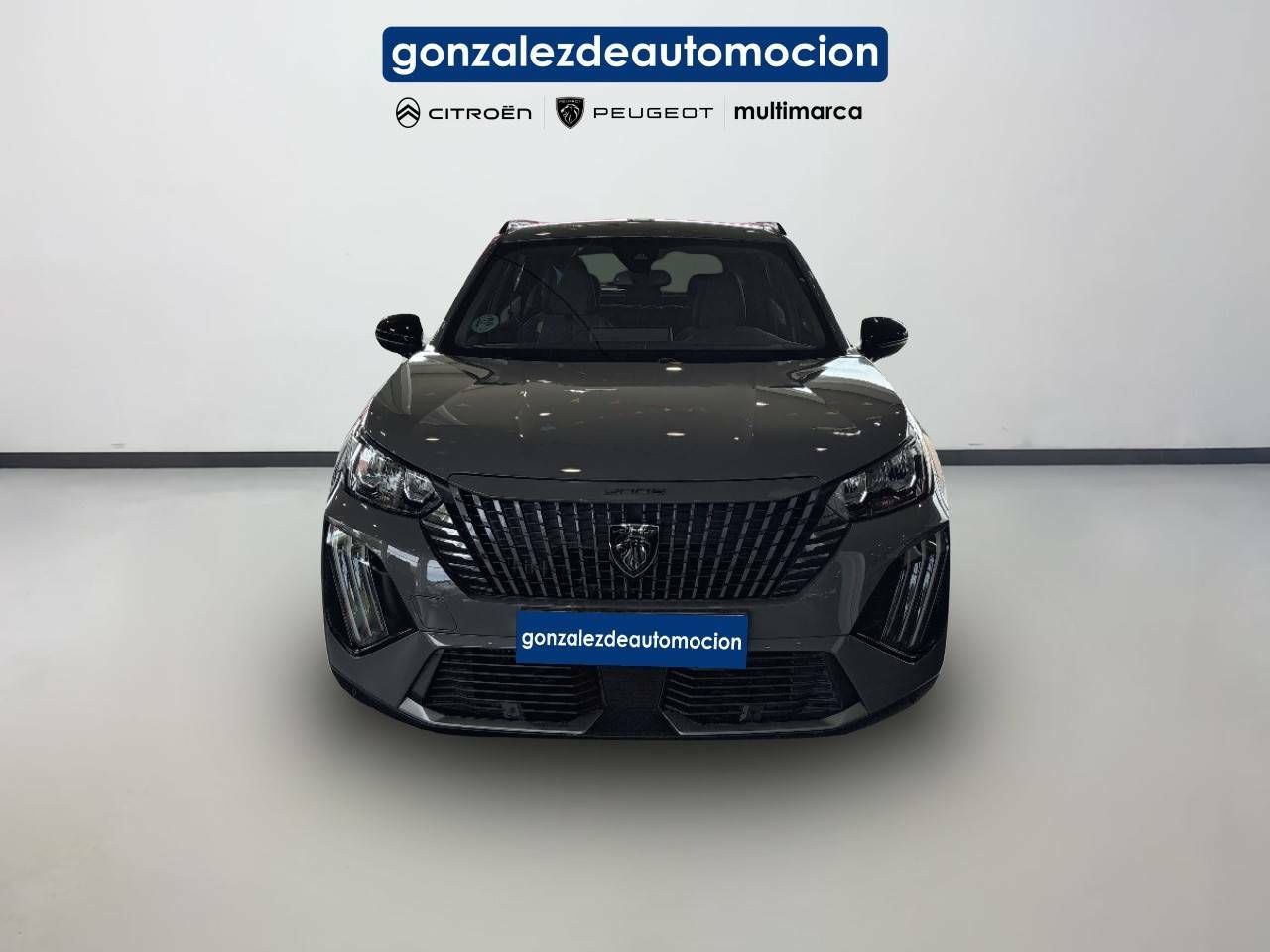 Foto Peugeot 2008 2