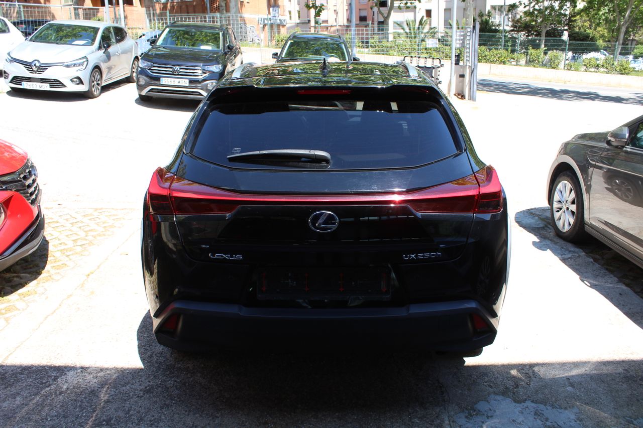 Foto Lexus UX 6