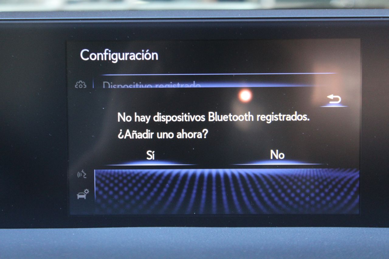 Foto Lexus UX 19