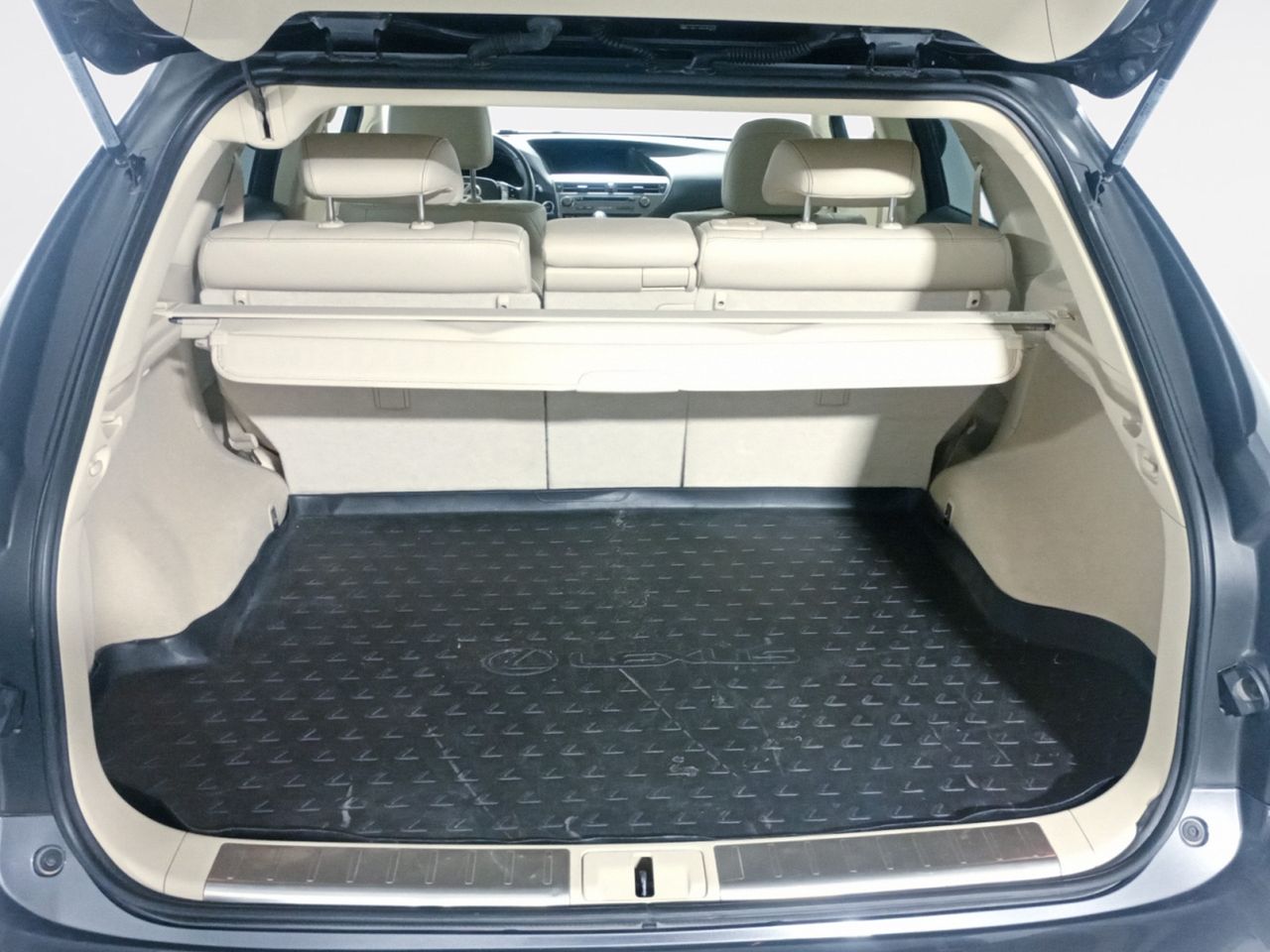 Foto Lexus RX 11