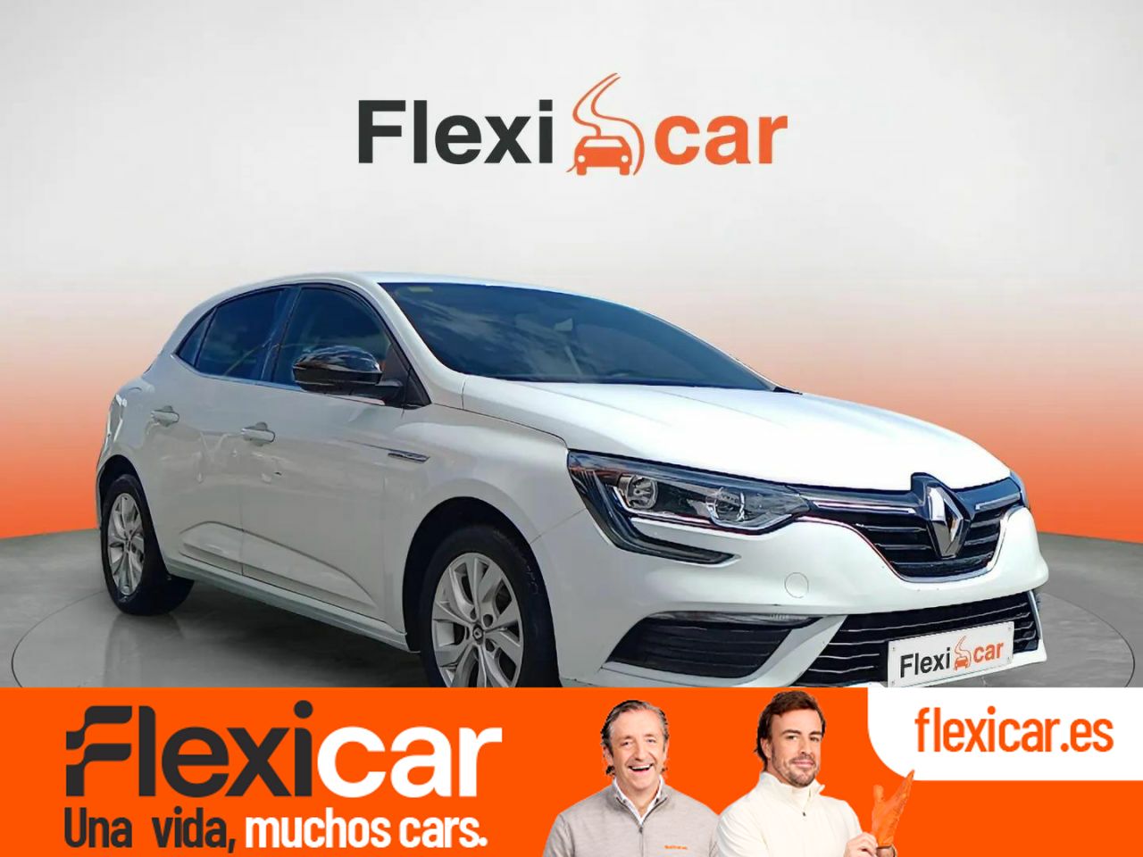 Foto Renault Mégane 1