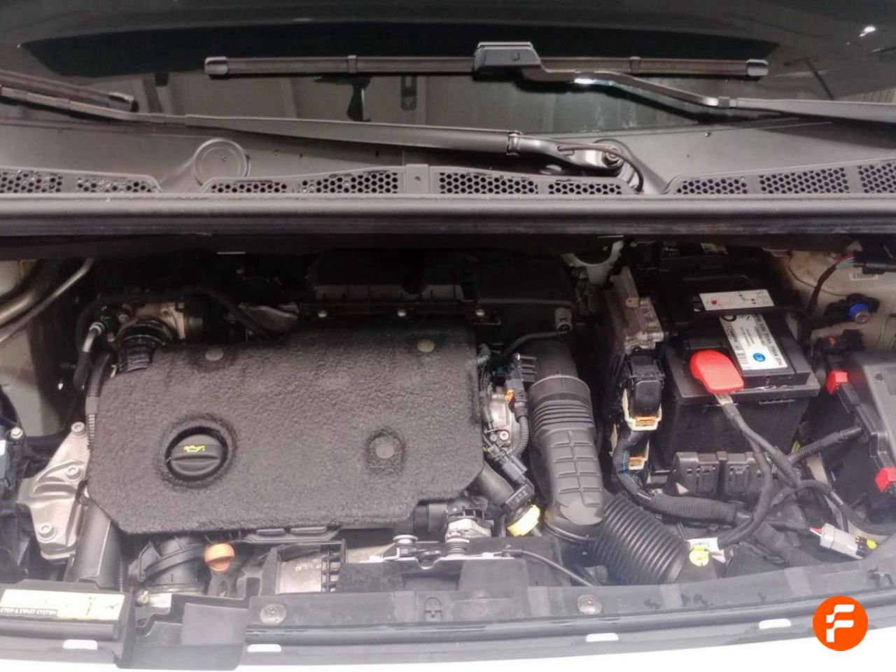 Foto Citroën Berlingo 21