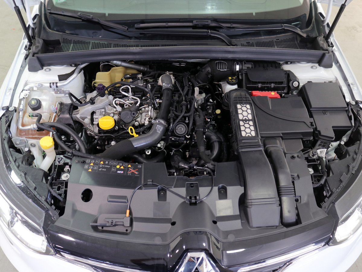 Foto Renault Mégane 19